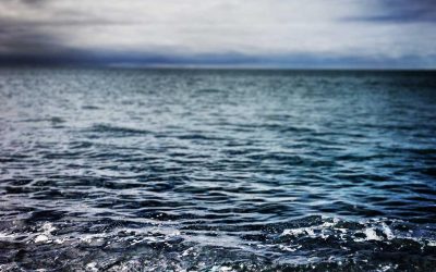 Ab asperiores sed ut quos ipsa