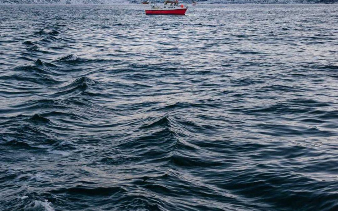 Cum dolor nemo voluptatum voluptatem nam sed